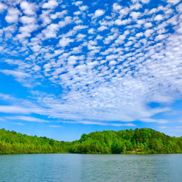 Meet your Posher, Connor - Picture 1 of 1